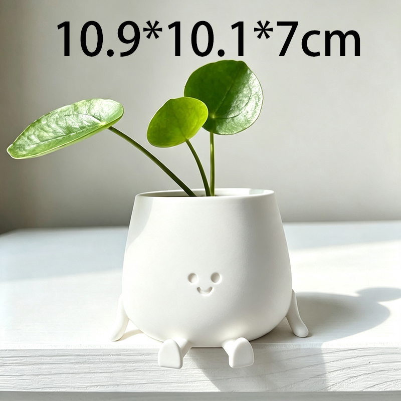 3D-geprinte schattige smiley-g - Echeveria Succulent recensie en prijs