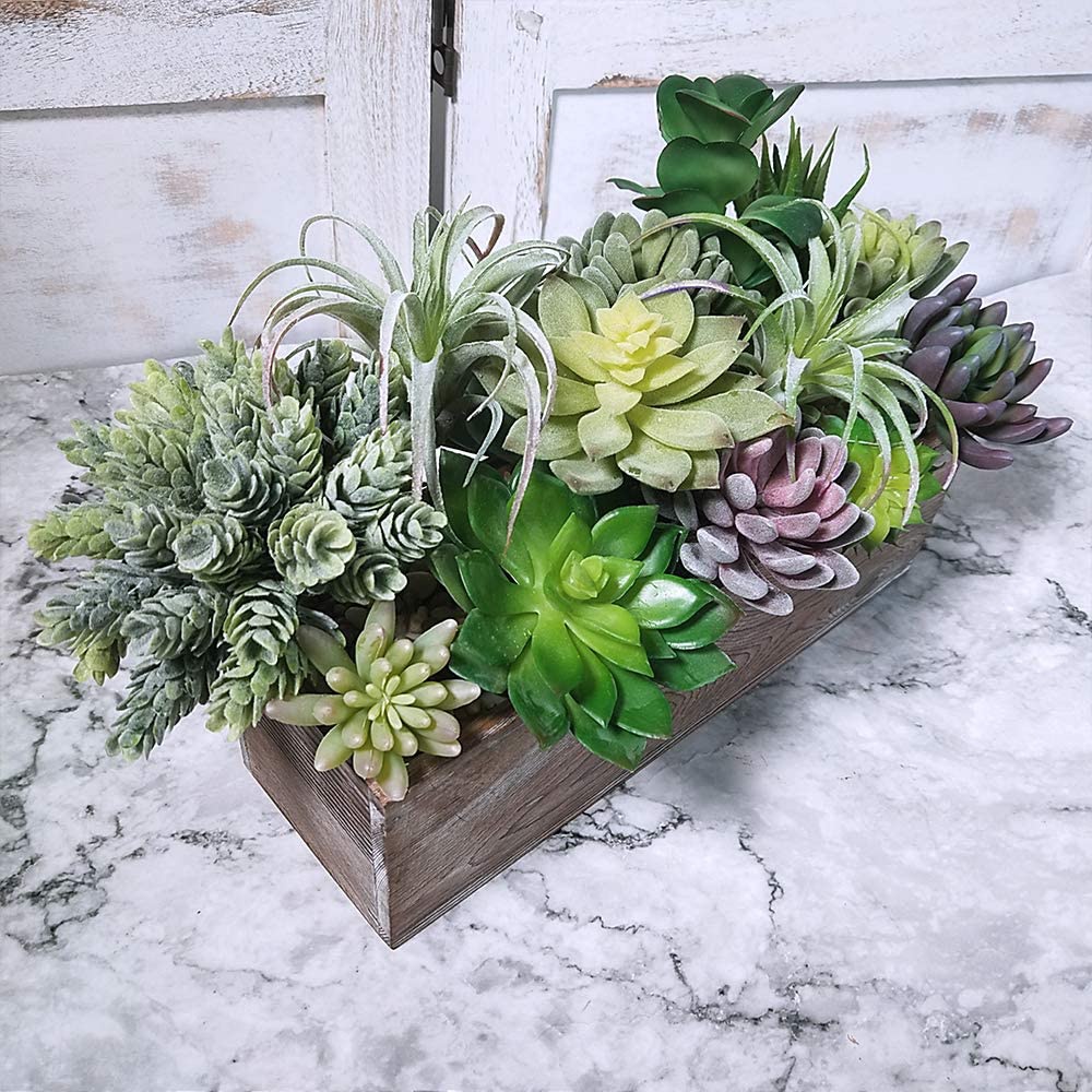 15 stuks geassorteerde kunstma - Echeveria Succulent recensie en prijs