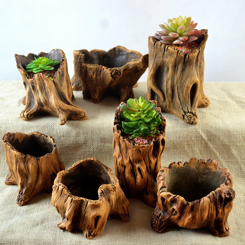 Imitatie Houten Stakes Boomwor - Echeveria Succulent recensie en prijs