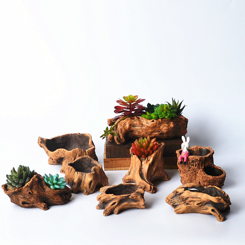 Imitatie Houten Stakes Boomwor - Echeveria Succulent recensie en prijs