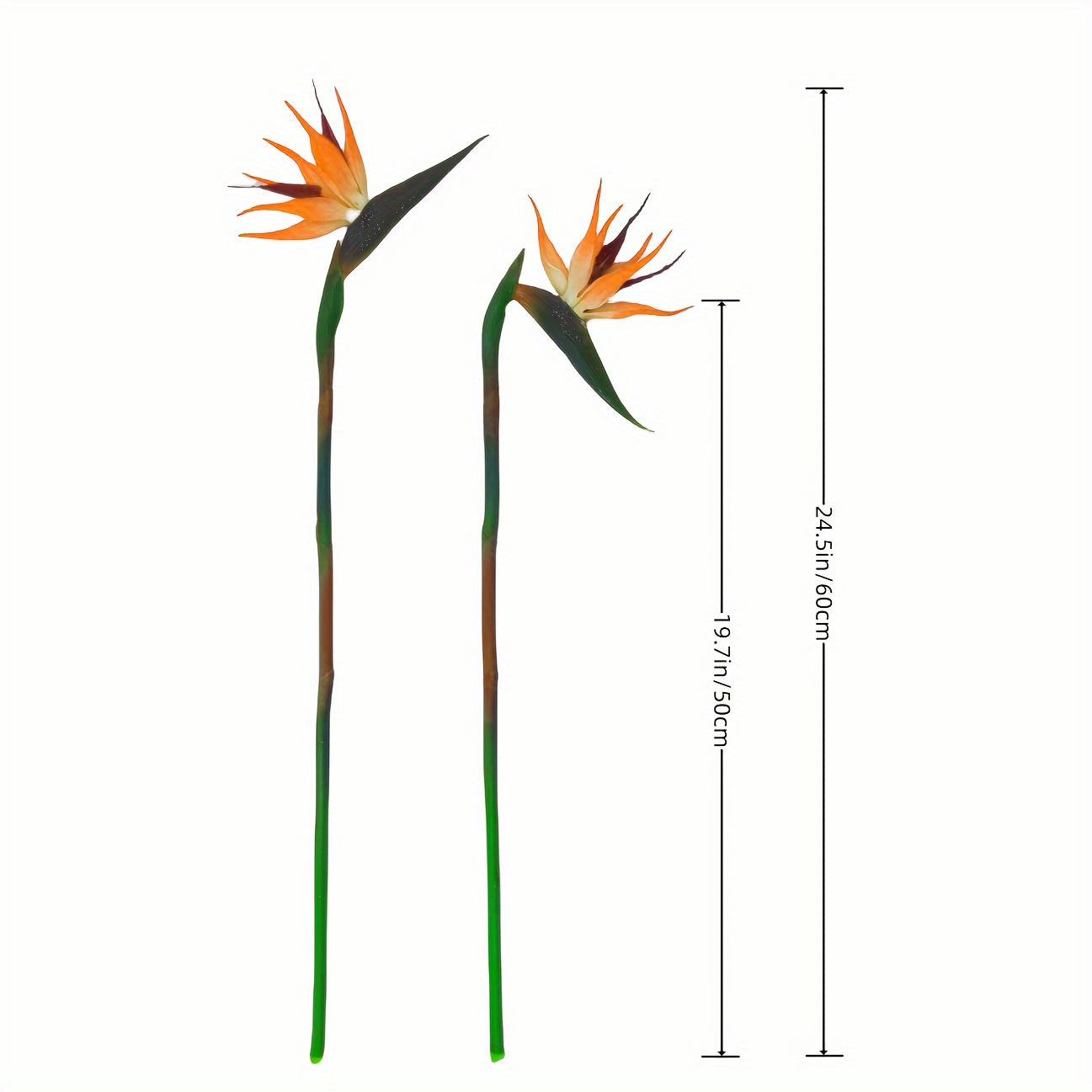3 Stuks Kunstmatige Vogel Van  - Bird Paradise Strelitzia recensie en prijs